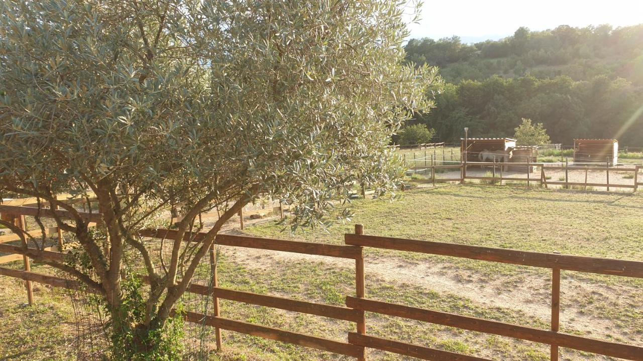 Chambre D'Hotes Le Petit Ranch Bed and Breakfast Los Masos Eksteriør billede