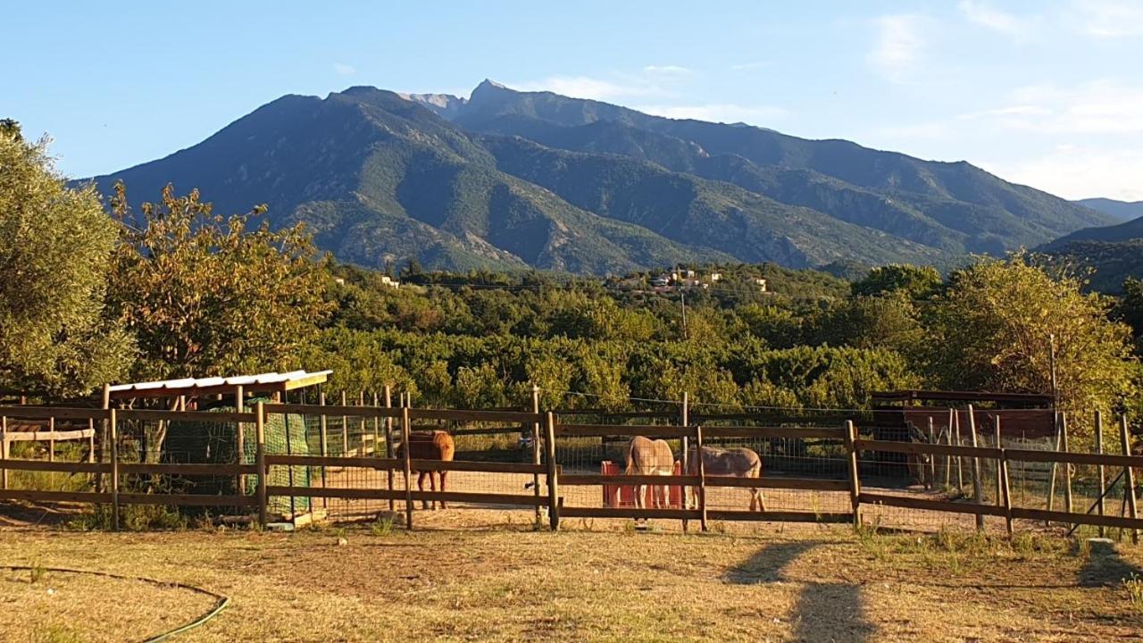 Chambre D'Hotes Le Petit Ranch Bed and Breakfast Los Masos Eksteriør billede